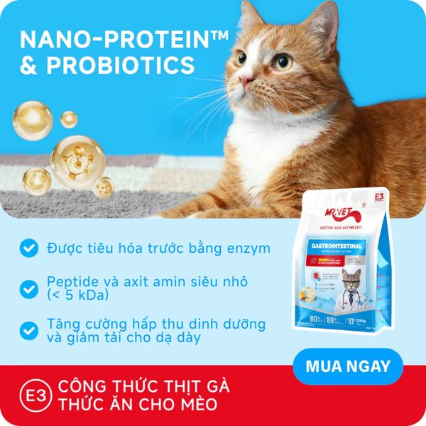 Hạt Cho Mèo MRVET E3 Gastrointestinal (S/O)-Chăm sóc cho hệ tiêu hóa nhạy cảm (Gói 1kg)