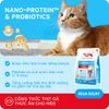 Hạt Cho Mèo MRVET E3 Gastrointestinal (S/O)-Chăm sóc cho hệ tiêu hóa nhạy cảm (Gói 1kg)