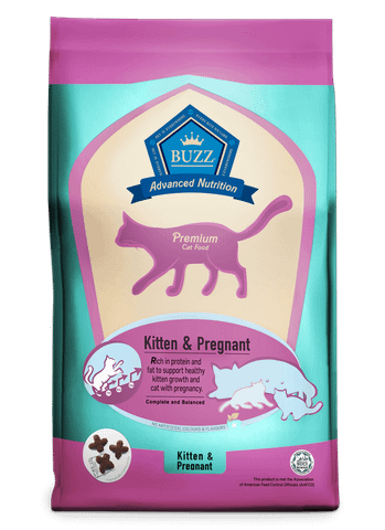 Buzz Advanced Nutrition Kitten & Pregnant–Hạt Dinh Dưỡng Cho Mèo Con & Mèo Mẹ (1kg)