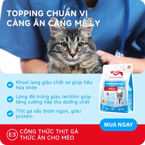 Hạt Cho Mèo MRVET E3 Gastrointestinal (S/O)-Chăm sóc cho hệ tiêu hóa nhạy cảm (Gói 1kg)