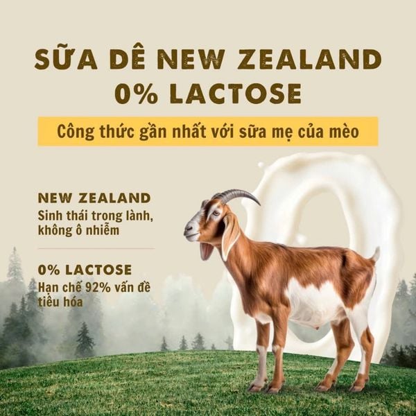 Pate Mèo Sữa Dê Bite Of Wild/70g