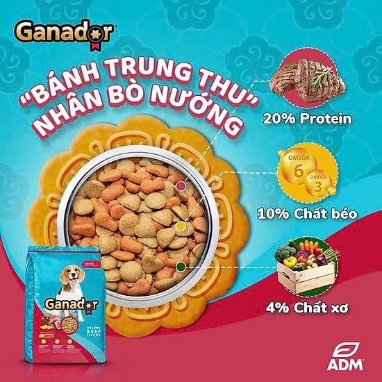 Thức Ăn Hạt Cho Chó Trưởng Thành Ganador Adult-Vị Bò Nướng-3kg/10kg/20kg
