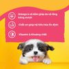 Pedigree Puppy Chicken,liver&vegetable Gravy 80g
