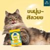 Buzz Advanced Nutrition Hair & Skin–Hạt Dinh Dưỡng Cho Mèo Hỗ Trợ Da & Lông (1kg)