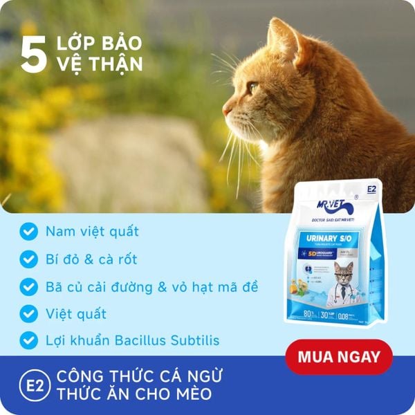 Hạt Cho Mèo MRVET E2 Urinary (S/O) - Chăm Sóc Tiết Niệu-Thận (Gói 1kg)