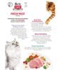 Brit Care Cat Indoor Anti-Stress – Hạt khô cho mèo trong nhà, hỗ trợ giảm căng thẳng ( Chicken) 400g/7kg
