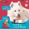 Thức Ăn Hạt Cho Chó Trưởng Thành Ganador Adult-Vị Bò Nướng-3kg/10kg/20kg