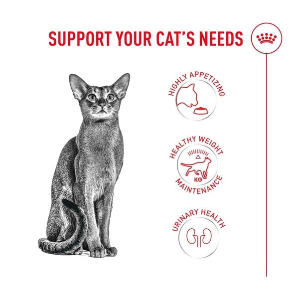 Thức Ăn Hạt Cho Mèo - Royal Canin Fussy Exigent - Dành Cho Mèo Kén Ăn 400g/2kg