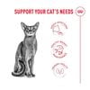 Thức Ăn Hạt Cho Mèo - Royal Canin Fussy Exigent - Dành Cho Mèo Kén Ăn 400g/2kg