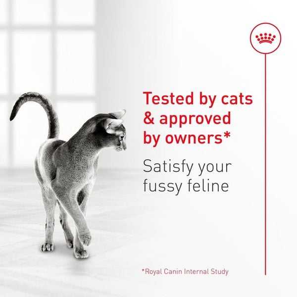 Thức Ăn Hạt Cho Mèo - Royal Canin Fussy Exigent - Dành Cho Mèo Kén Ăn 400g/2kg
