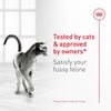 Thức Ăn Hạt Cho Mèo - Royal Canin Fussy Exigent - Dành Cho Mèo Kén Ăn 400g/2kg