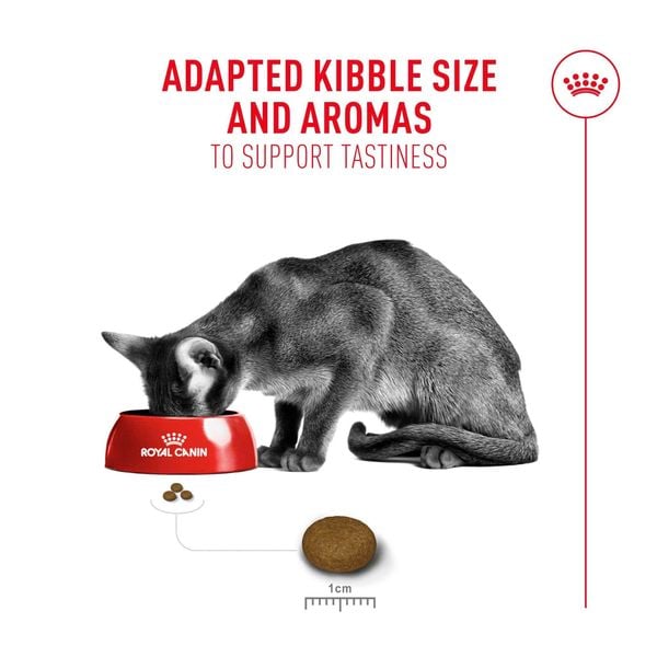 Thức Ăn Hạt Cho Mèo - Royal Canin Fussy Exigent - Dành Cho Mèo Kén Ăn 400g/2kg