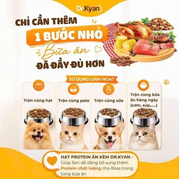 Dr.Kyan Hạt Protein Ăn Kèm-Vị Cá Hồi Cho Mèo