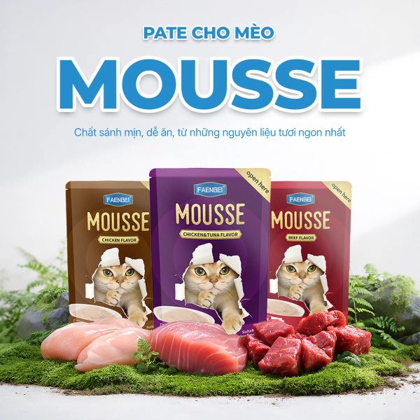 Faenbei Pate Mèo Dạng Mousse 85g
