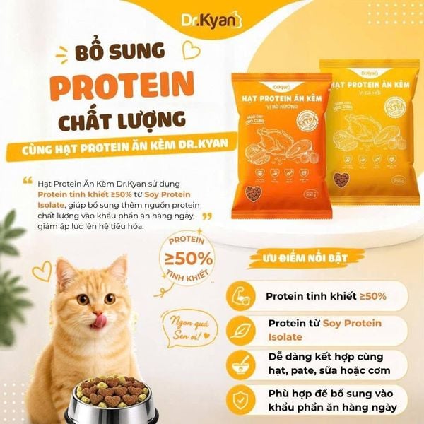 Dr.Kyan Hạt Protein Ăn Kèm-Vị Cá Hồi Cho Mèo