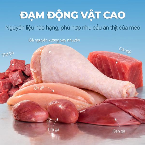 Faenbei Pate Mèo Dạng Mousse 85g