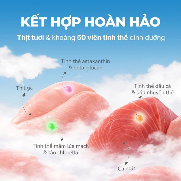 Faenbei Pate Mèo Dạng Viên Tinh Thể 70g