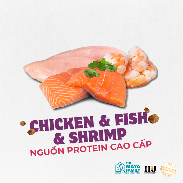 Hạt H&J Premium Cat cho Mèo