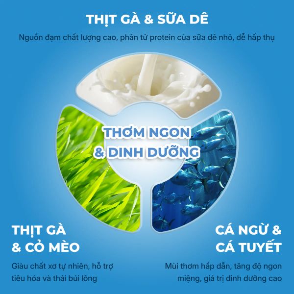 Faenbei Pate Mèo Nắp Vặn 90g