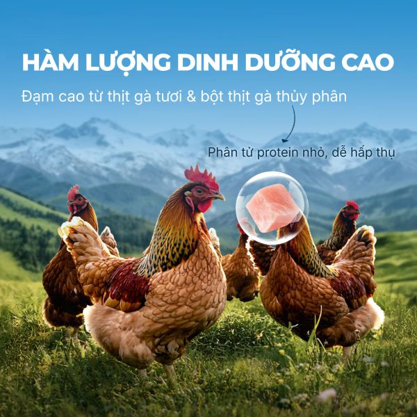 Faenbei Cat Pate Milkshake - Pate Mèo Dạng Sữa Lắc Vị Thị Gà 85g
