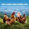 Faenbei Cat Pate Milkshake - Pate Mèo Dạng Sữa Lắc Vị Thị Gà 85g
