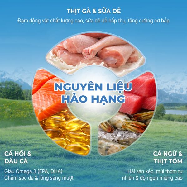 Faenbei  Súp thưởng dòng Creamy cho mèo gói 15g