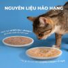 Faenbei Pate Mèo Dạng Viên Tinh Thể 70g