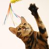 CattyMan - Cần Câu Lò Xo Ruy Băng Nhiều Màu