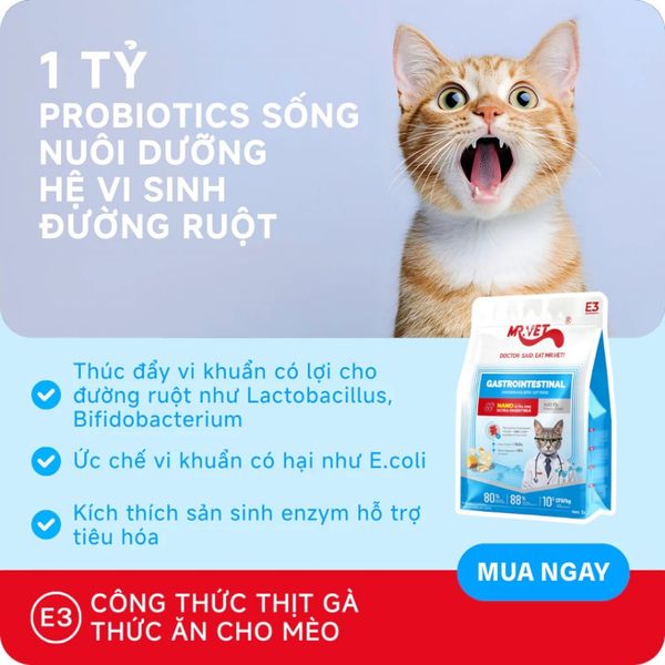 Hạt Cho Mèo MRVET E3 Gastrointestinal (S/O)-Chăm sóc cho hệ tiêu hóa nhạy cảm (Gói 1kg)
