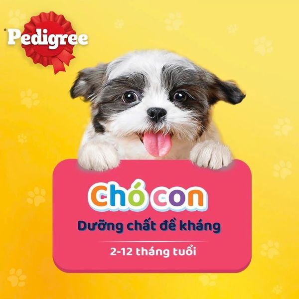Pedigree Puppy Chicken,liver&vegetable Gravy 80g