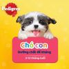 Pedigree Puppy Chicken,liver&vegetable Gravy 80g