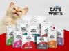 Cát Vệ Sinh Cho Mèo - Cat's White - Cát Đất Sét 20L (17kg)