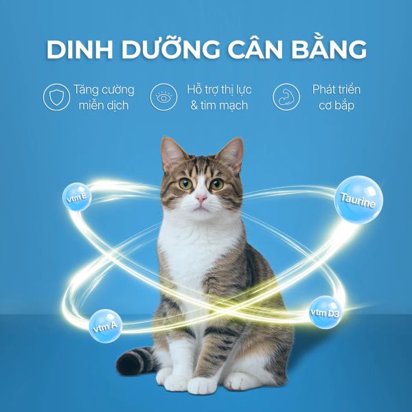 Faenbei Cat Pate Milkshake - Pate Mèo Dạng Sữa Lắc Vị Thị Gà 85g