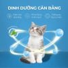Faenbei Súp thưởng dòng kinh điển cho mèo Que 15g
