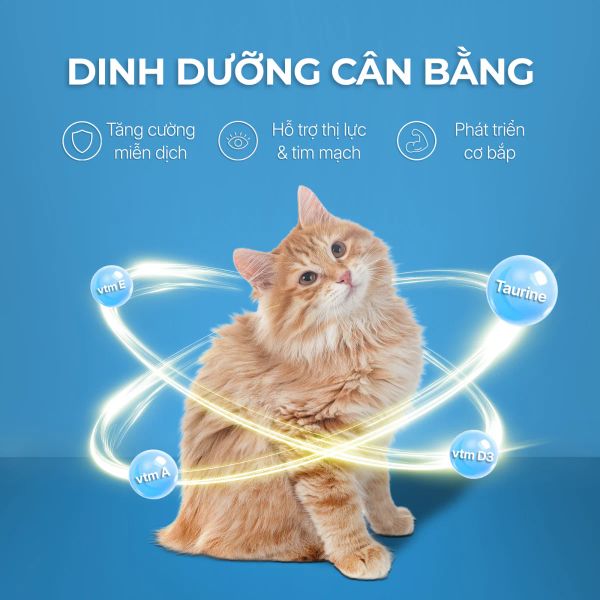 Faenbei Pate Mèo Dạng Mousse 85g