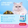 MRVET-Hạt Cho Mèo E1 Shiny Hair-Dưỡng Da Lông Chuyên Sâu Từ Dầu Cá Tinh Khiết (Gói 1kg)