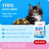 MRVET-Hạt Cho Mèo E1 Shiny Hair-Dưỡng Da Lông Chuyên Sâu Từ Dầu Cá Tinh Khiết (Gói 1kg)