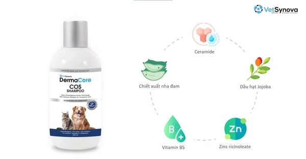 Dầu Tắm DermaCore COS Shampoo Hỗ Trợ Chăm Sóc Da Viêm & Nấm Da (250ml)