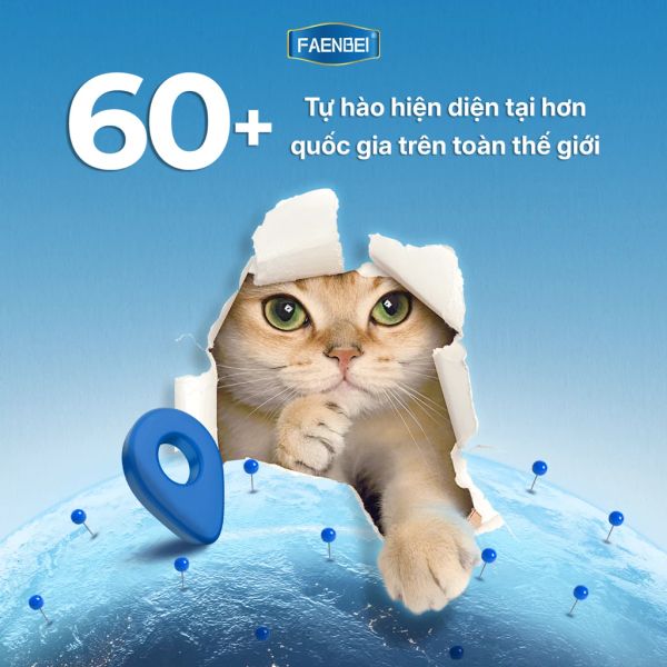 Faenbei Súp thưởng dòng kinh điển cho mèo Que 15g