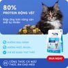 Hạt Cho Mèo MRVET E2 Urinary (S/O) - Chăm Sóc Tiết Niệu-Thận (Gói 1kg)