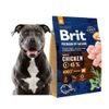 Brit Premium by Nature Adult M – Hạt cho chó trưởng thành cỡ trung (3kg)