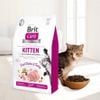Brit Care Cat Kitten Healthy Growth & Development – Hạt khô cho mèo con, hỗ trợ phát triển khỏe mạnh (Chicken&Turkey)2kg/7kg