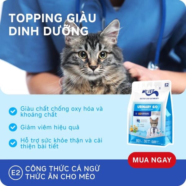 Hạt Cho Mèo MRVET E2 Urinary (S/O) - Chăm Sóc Tiết Niệu-Thận (Gói 1kg)