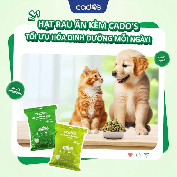 CaDo's Hạt Rau Củ Ăn Kèm-Vị Bò Nướng Phô Mai Cho Chó