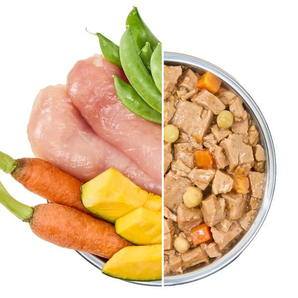 Pawta Pate  Lon Cho Chó-400g
