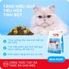 Hạt Cho Mèo MRVET E3 Gastrointestinal (S/O)-Chăm sóc cho hệ tiêu hóa nhạy cảm (Gói 1kg)
