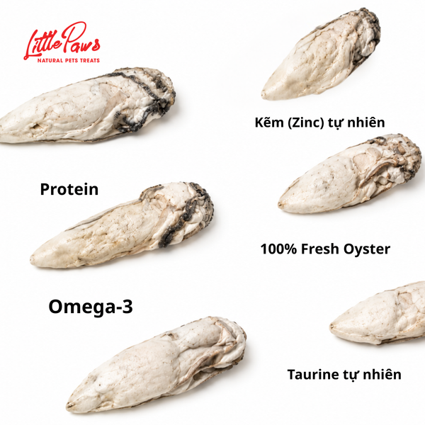 Little Paws - Freeze Oyster - Hàu 10pcs