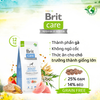 Brit Care Dog Sustainable Adult Large Breed (Chicken & Insect ) 3kg