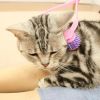 CattyMan - Gậy Massage Cầm Tay Cho Mèo
