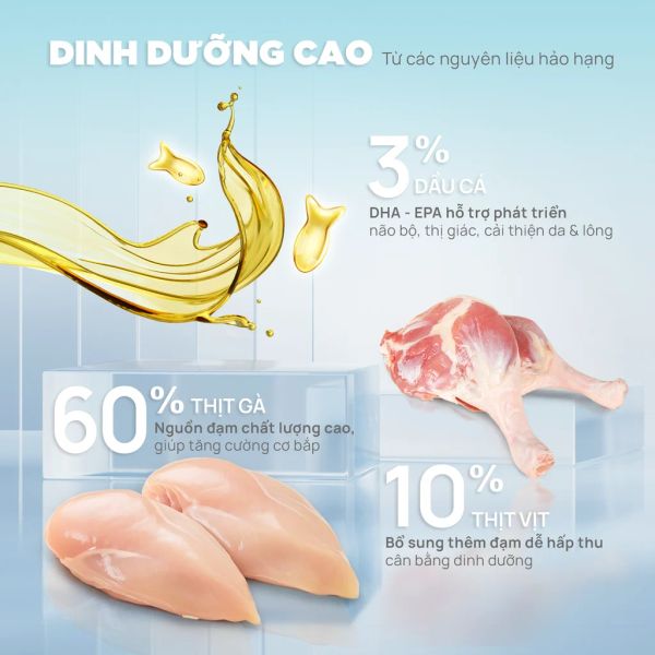 PetQ - Thức ăn hạt Donut D90 200g